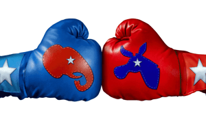 Revisiting the Roots of the American Political Party System