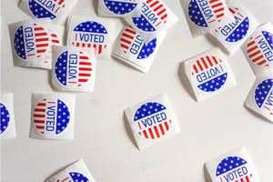 What Keeps Americans from Going to the Polls?